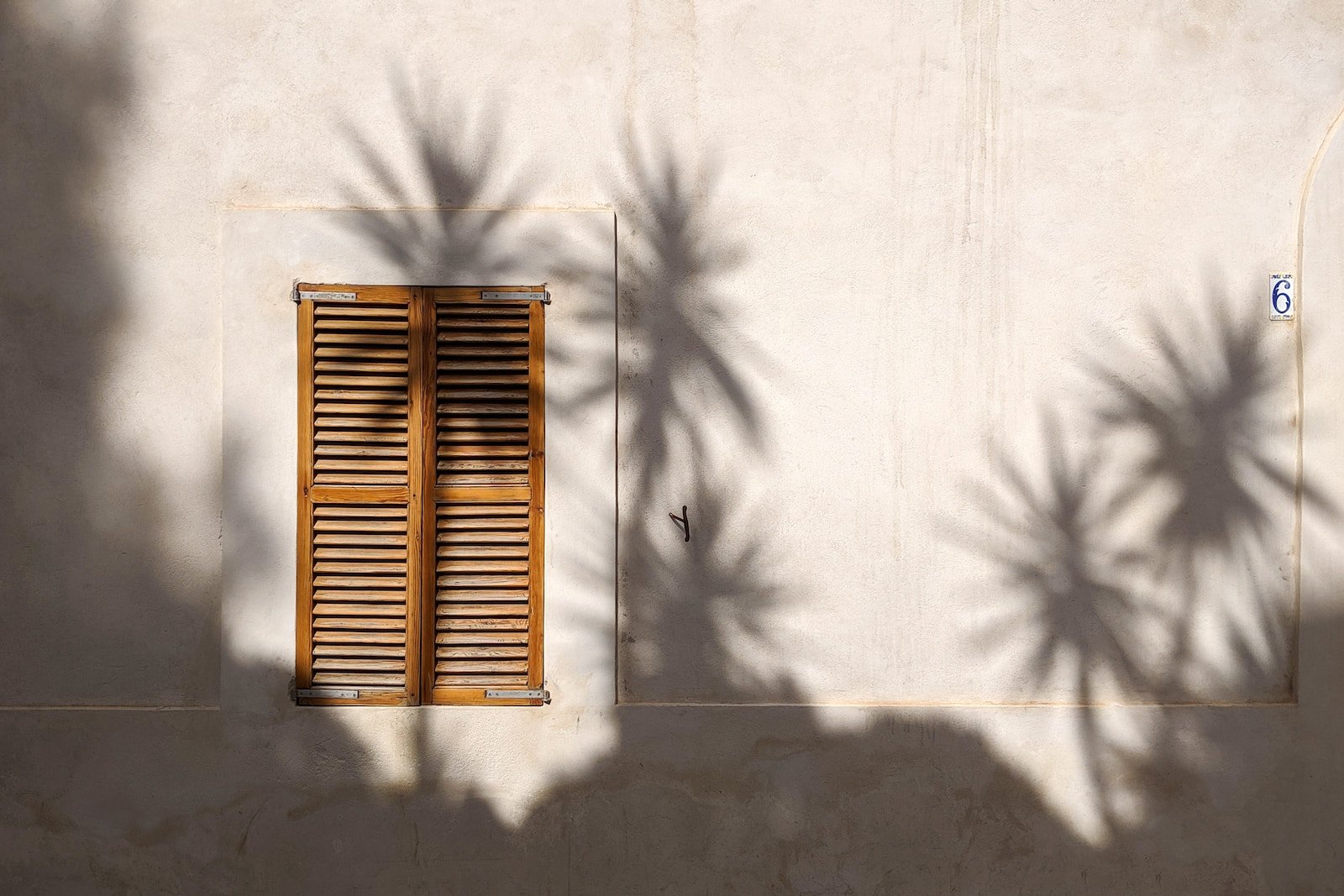 Qué Hacer en Ibiza en Navidad